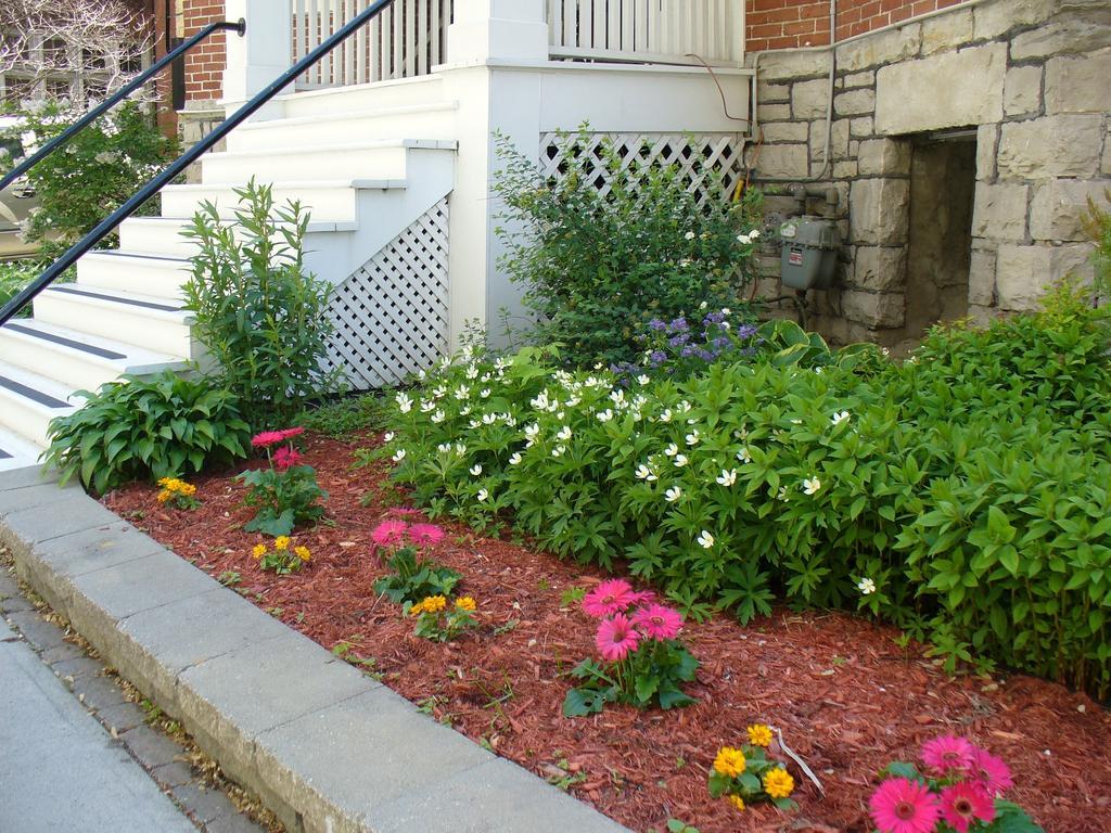 Albert House Inn Ottawa Dış mekan fotoğraf