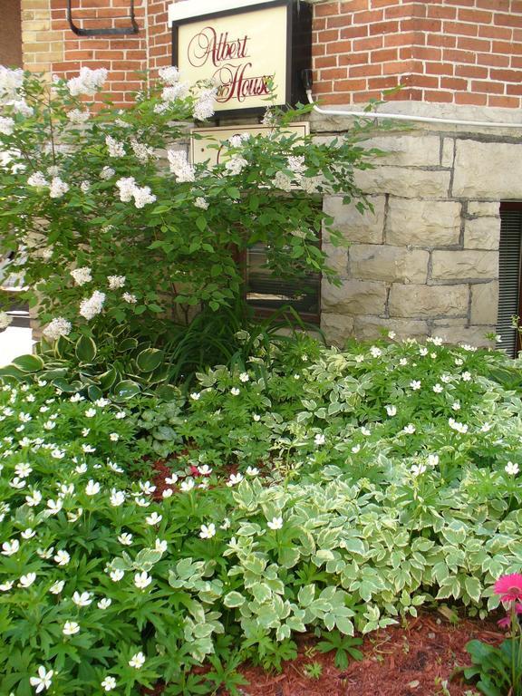 Albert House Inn Ottawa Dış mekan fotoğraf