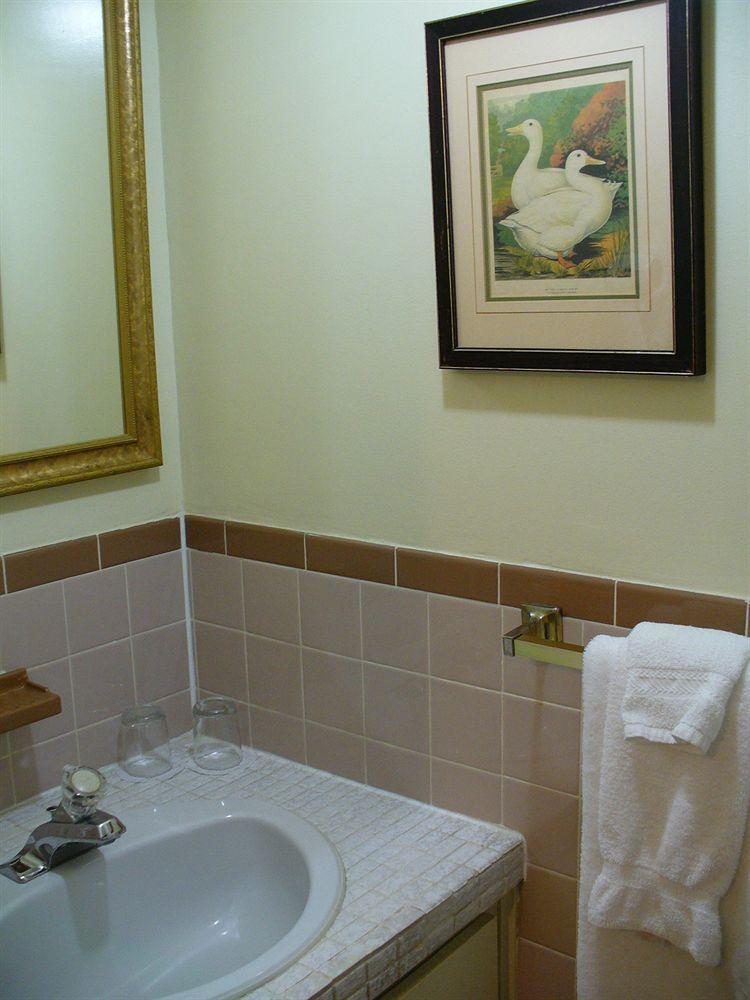 Albert House Inn Ottawa Dış mekan fotoğraf